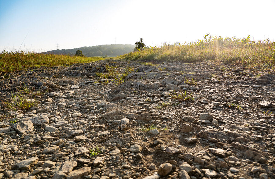 Serpentine barrens rocky path